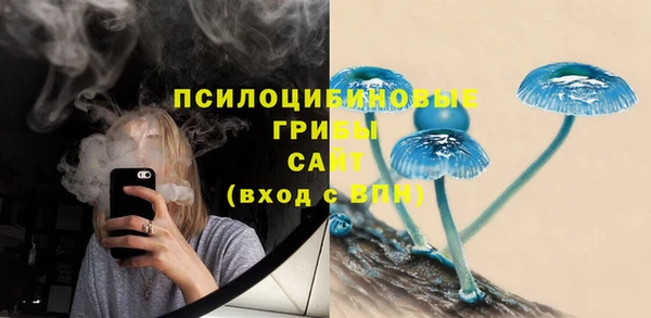apvp Нягань