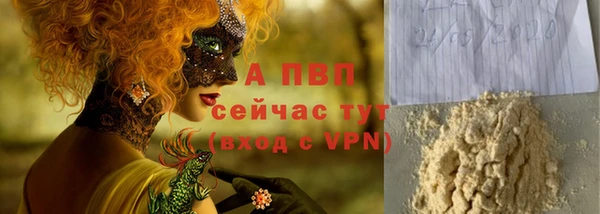 стафф Новокубанск