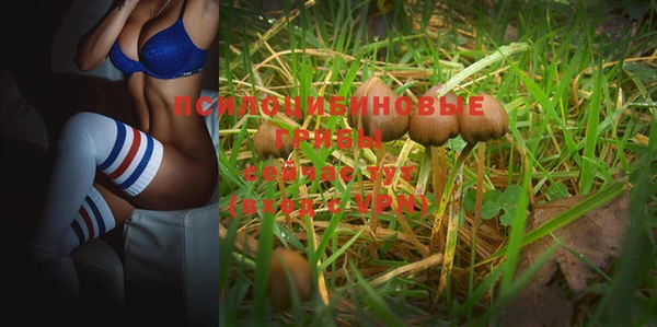 ALPHA PVP Новодвинск