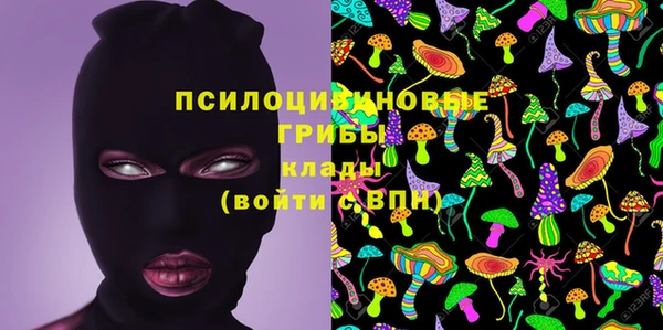 ALPHA PVP Новодвинск