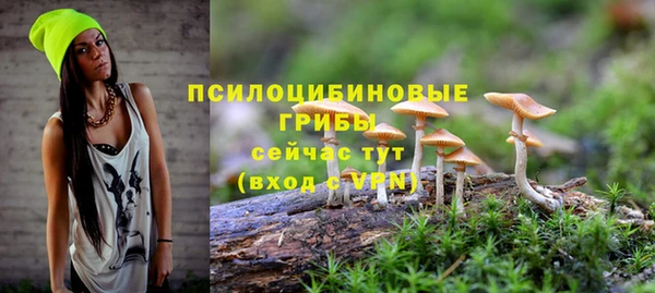 ALPHA PVP Новодвинск