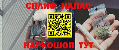 гашик Гусев