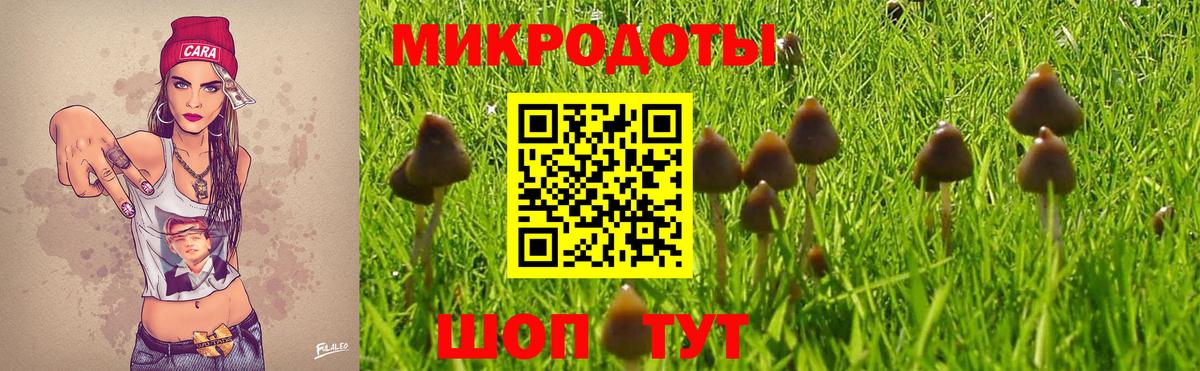Псилоцибиновые грибы Psilocybine cubensis Карталы