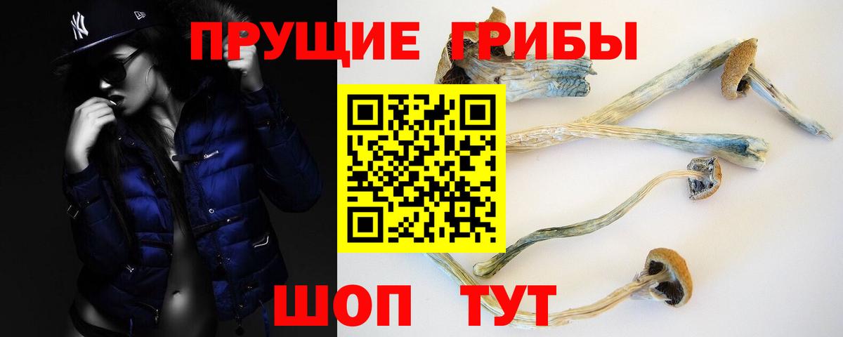 Карталы  Псилоцибиновые грибы Cubensis  Вход с VPN  Галлюциногенные грибы мицелий 